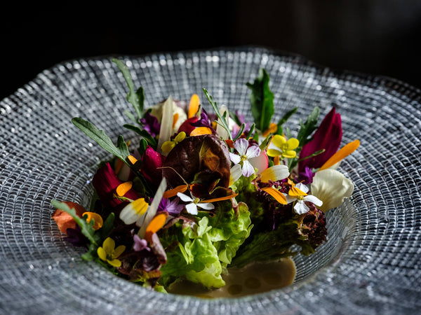 Vis Kookworkshop & Sterrenlunch