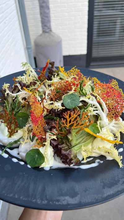 Chef Bart — Walking Diner