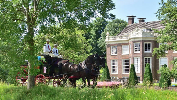 Bedrijfs Evenement
