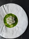 Restaurant STEEF — 5 course dinner