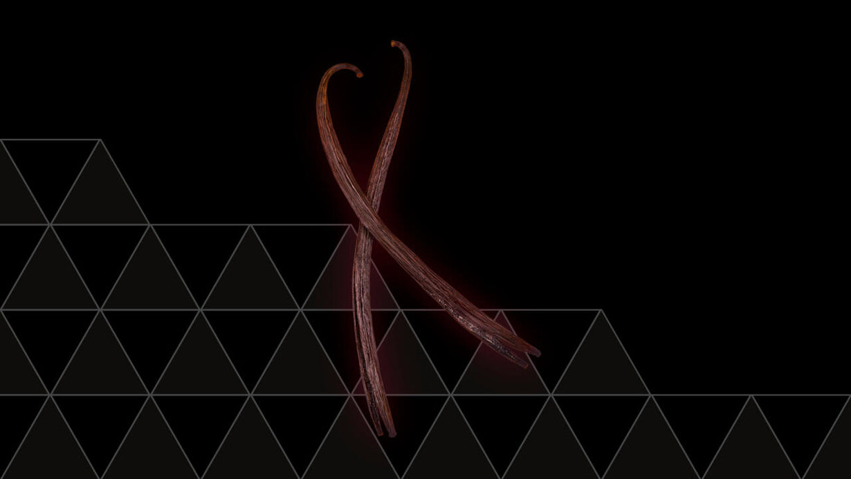 Dutch Vanilla (red) 