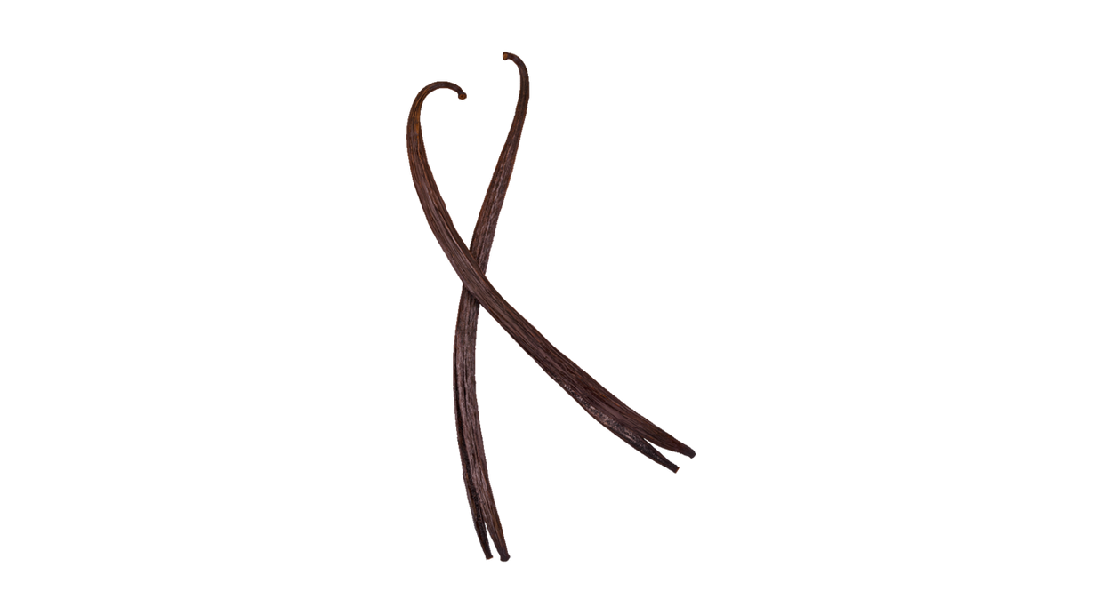 Dutch Vanilla (red) 