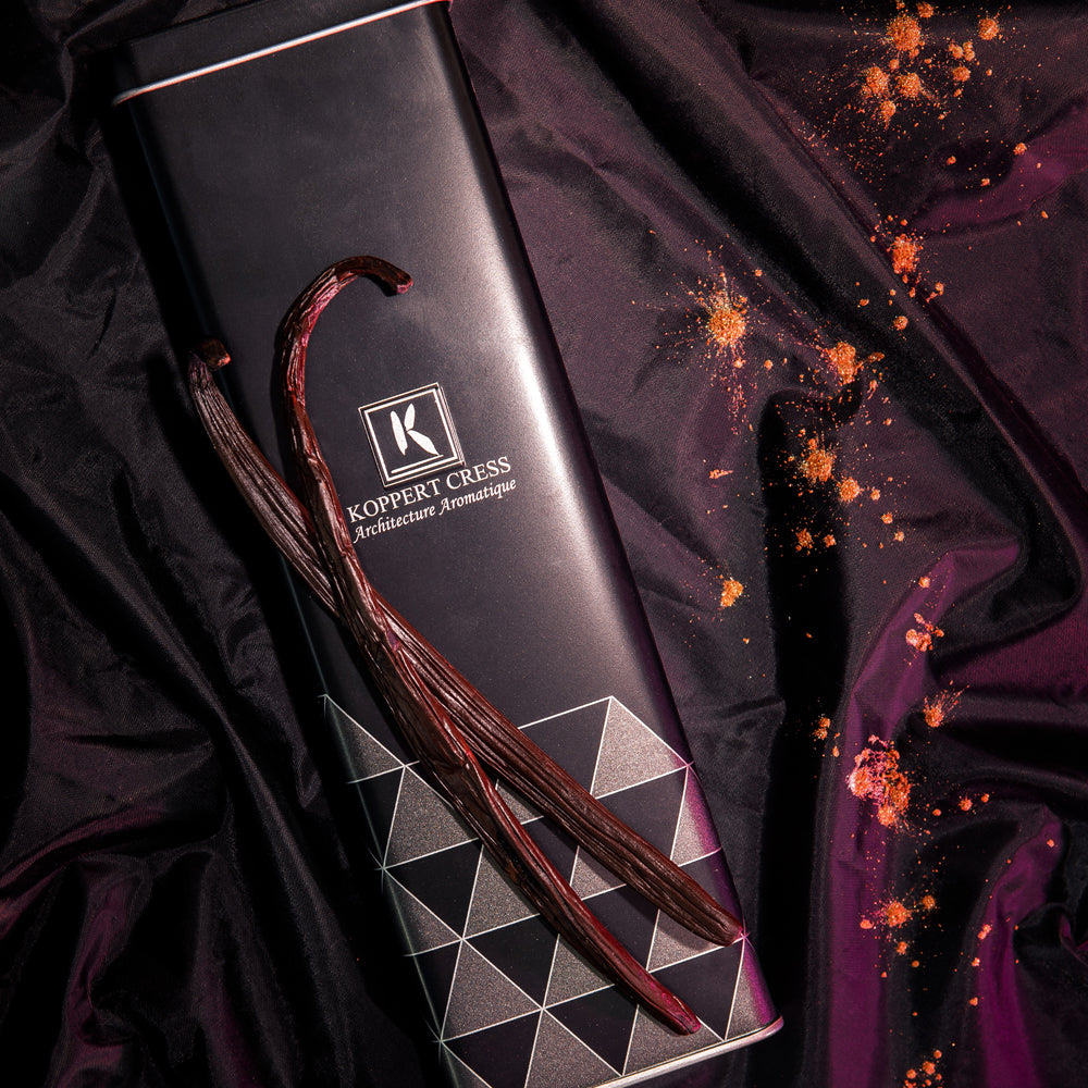 Dutch Vanilla (black) 