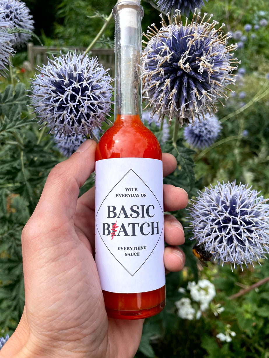 Basic B(i)atch