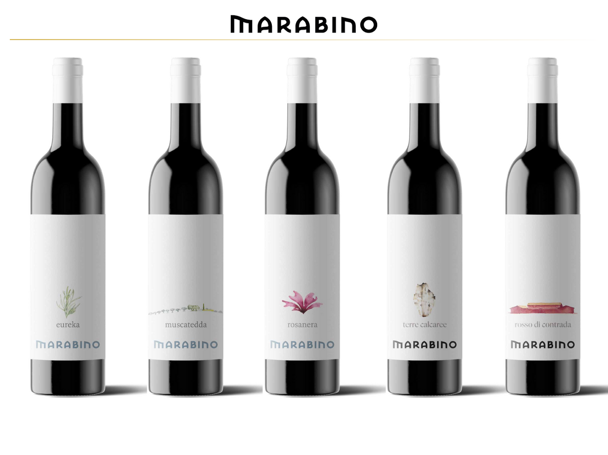 Wine Tasting Deluxe (5 wines) 
