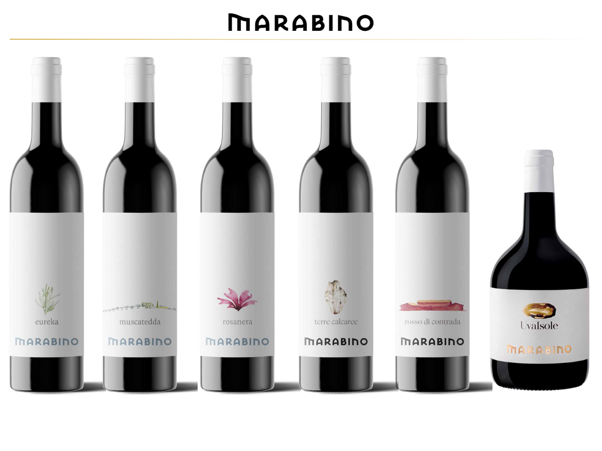 Wine tasting Premium (6 wines) 