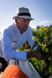 Zondag Kook demonstration + Lunch + Boottocht