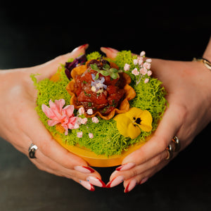 4 Gangen Menu + Amuse