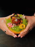 4 Gangen Menu + Amuse