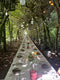 Private dinner