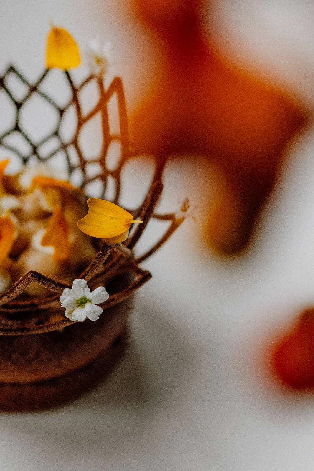 Restaurant STEEF — 5 gangen diner