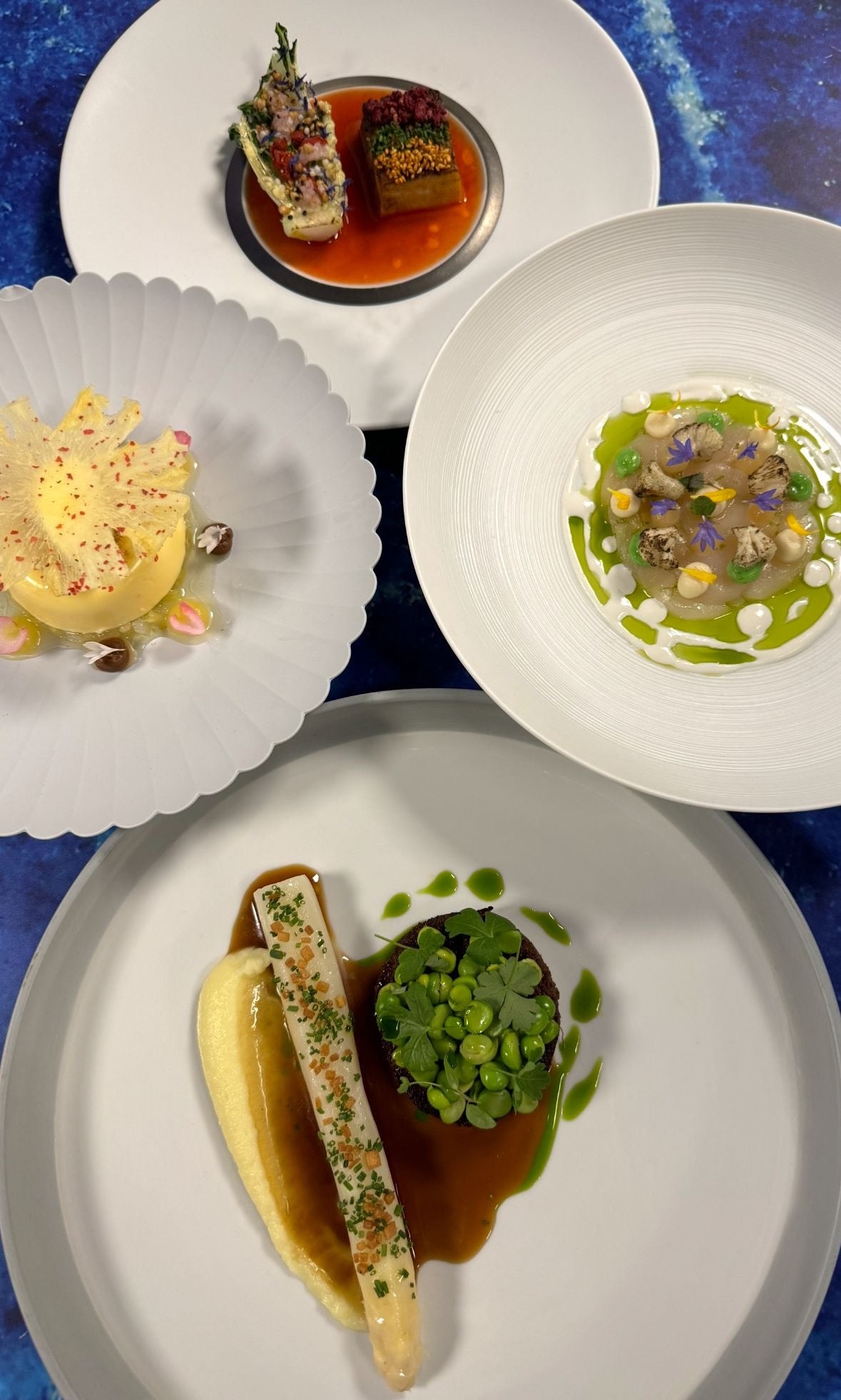 STER — chef aan huis