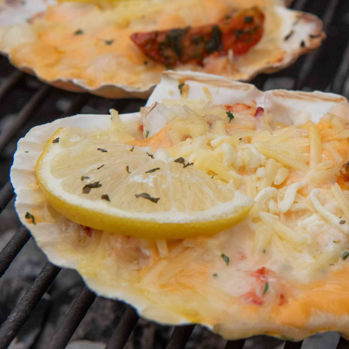 Premium BBQ Menu | Restaurant Parkheuvel