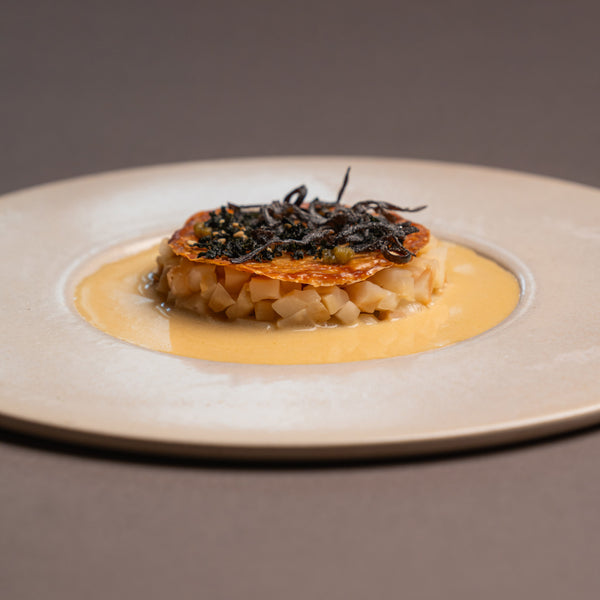 Michelin Fusion